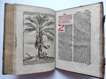 Foto Holzschnitt/Text - Johann Geiler von Kaysersberg, 1479-1510 Prediger in Straßburg - Erste Buchausgabe mit deutschen Predigten.